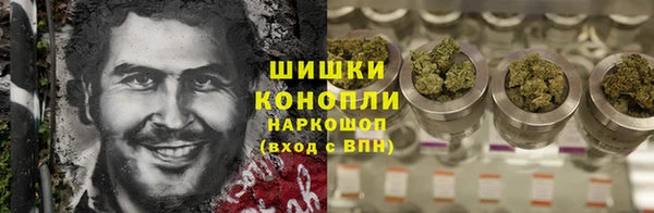 прущие грибы Верея