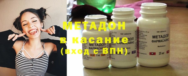 прущие грибы Верея
