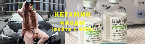 прущие грибы Верея