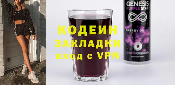 прущие грибы Верея