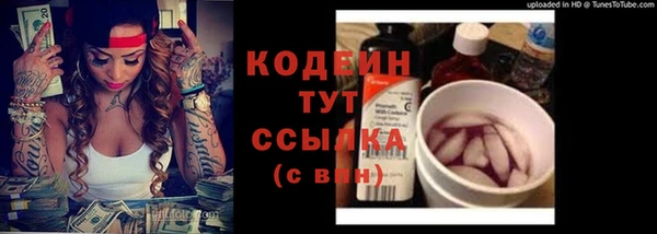прущие грибы Верея