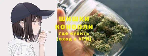 прущие грибы Верея