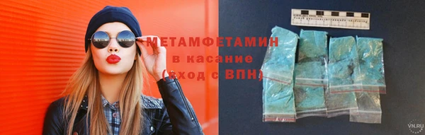 прущие грибы Верея