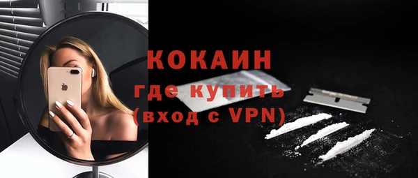 прущие грибы Верея