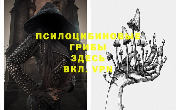 ГАЛЛЮЦИНОГЕННЫЕ ГРИБЫ Богданович