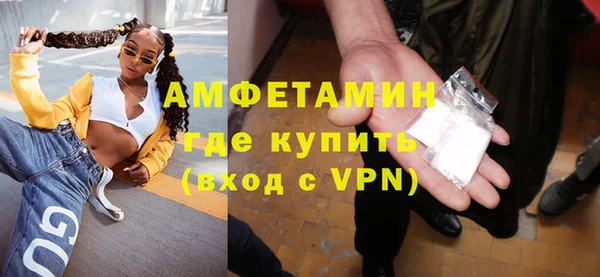 прущие грибы Верея