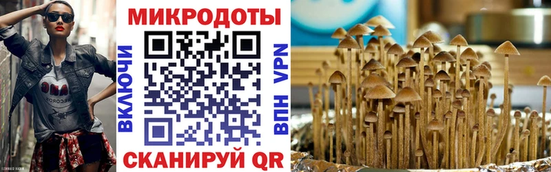 Псилоцибиновые грибы мицелий  Калачинск 